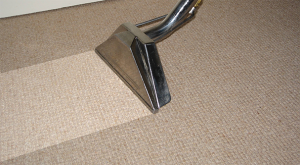 8 1